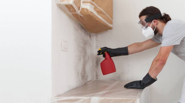 Professional Bathroom Mold Removal technician working in New Enterprise, PA